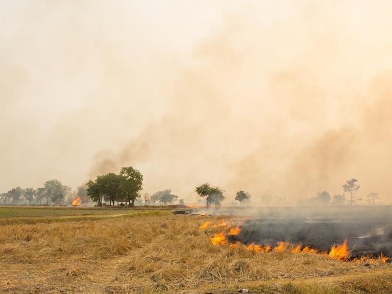 Rural Farm Fire Safety